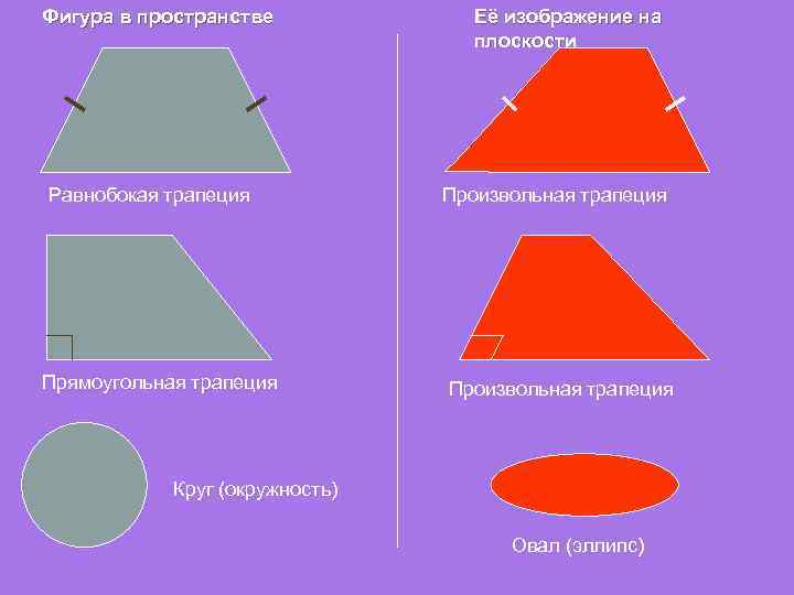 Фигура в пространстве Равнобокая трапеция Прямоугольная трапеция Её изображение на плоскости Произвольная трапеция Круг