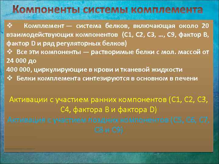 v Комплемент — система белков, включающая около 20 взаимодействующих компонентов (С 1, С 2,