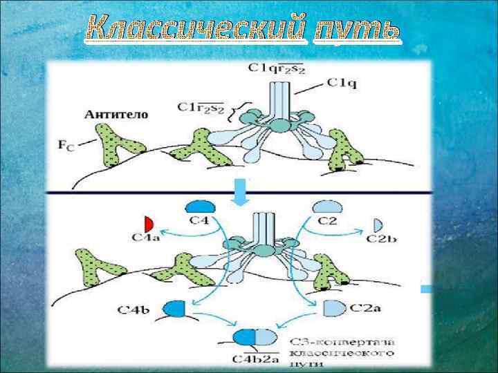 Классический путь 