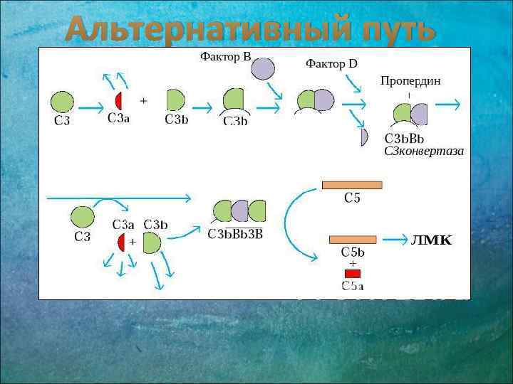 Альтернативный путь 