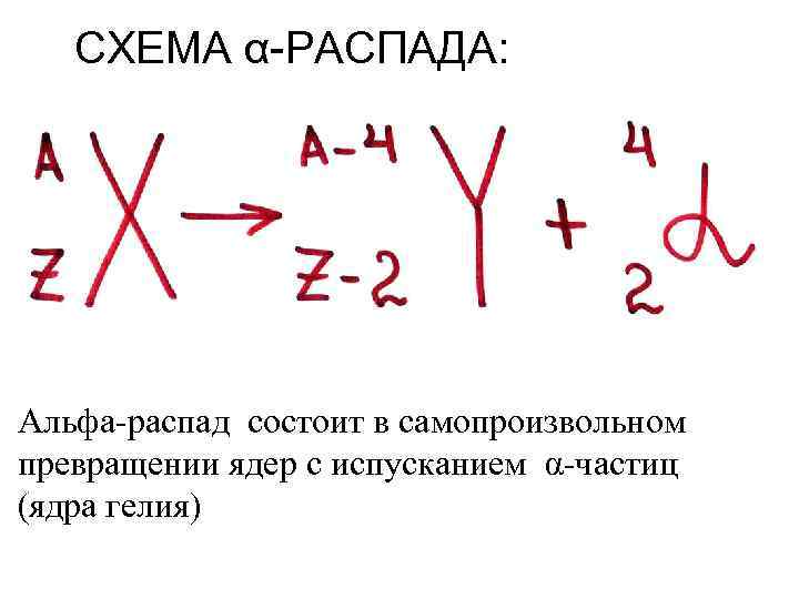 СХЕМА α-РАСПАДА: Альфа-распад состоит в самопроизвольном превращении ядер с испусканием α-частиц (ядра гелия) 