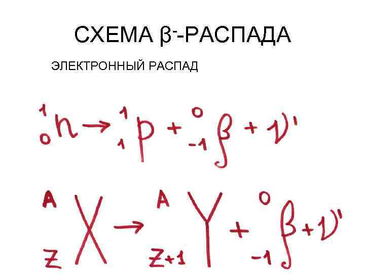 СХЕМА β--РАСПАДА ЭЛЕКТРОННЫЙ РАСПАД 
