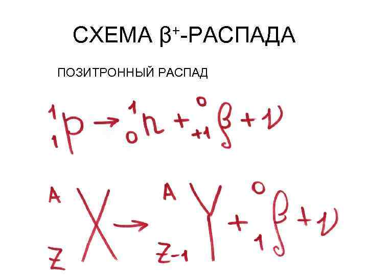 Схема бета распадов