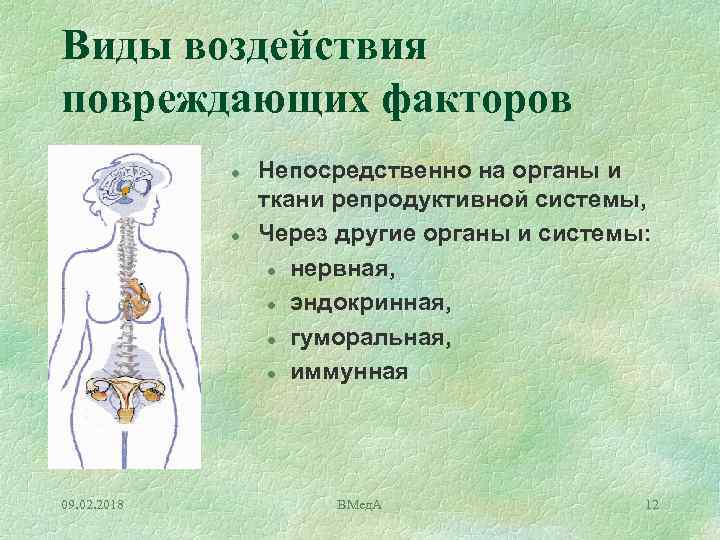 Виды воздействия повреждающих факторов l l 09. 02. 2018 Непосредственно на органы и ткани