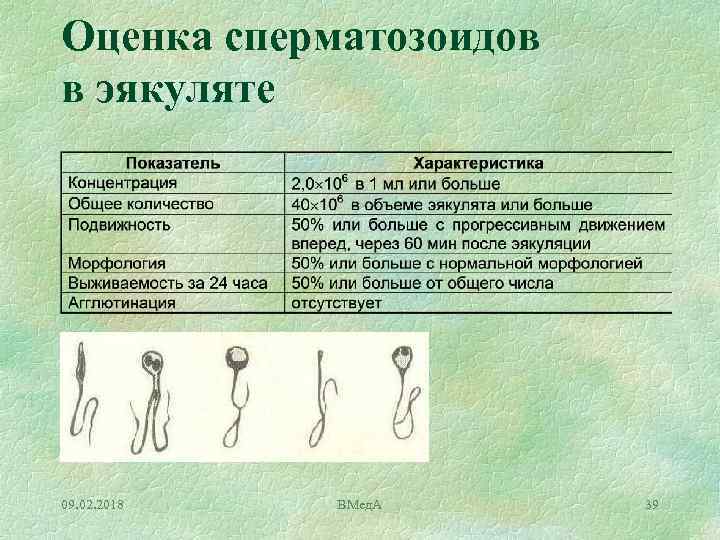 Оценка сперматозоидов в эякуляте 09. 02. 2018 ВМед. А 39 