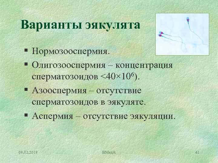 Варианты эякулята § Нормозооспермия. § Олигозооспермия – концентрация сперматозоидов <40× 106). § Азооспермия –