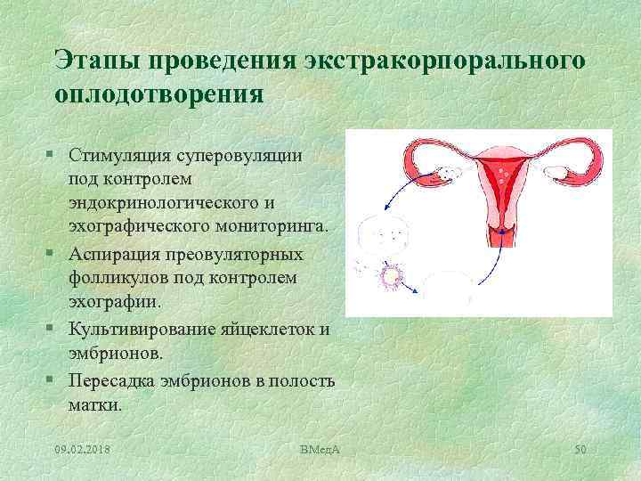 Этапы проведения экстракорпорального оплодотворения § Стимуляция суперовуляции под контролем эндокринологического и эхографического мониторинга. §