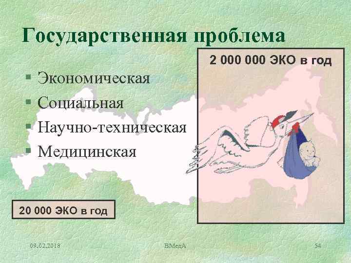 Государственная проблема 2 000 ЭКО в год § § Экономическая Социальная Научно техническая Медицинская