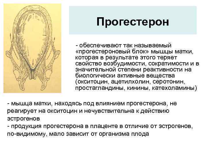 Прогестерон - обеспечивают так называемый «прогестероновый блок» мышцы матки, которая в результате этого теряет
