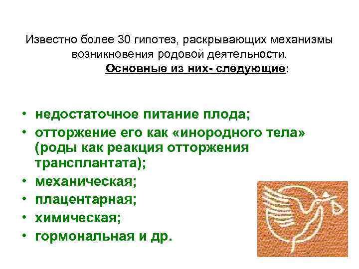 Известно более 30 гипотез, раскрывающих механизмы возникновения родовой деятельности. Основные из них- следующие: •