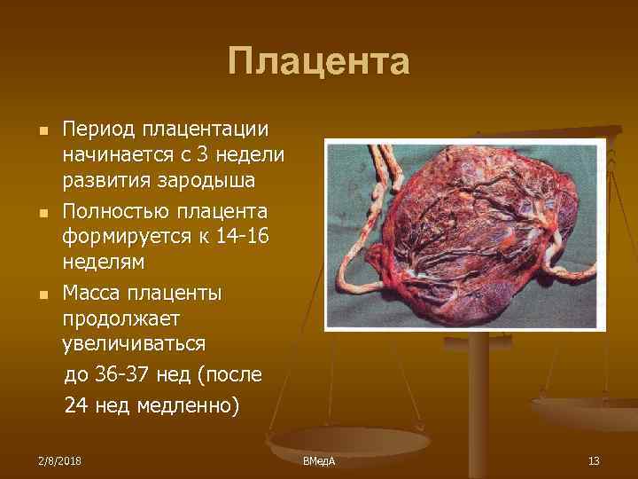 Плацента n n n Период плацентации начинается с 3 недели развития зародыша Полностью плацента