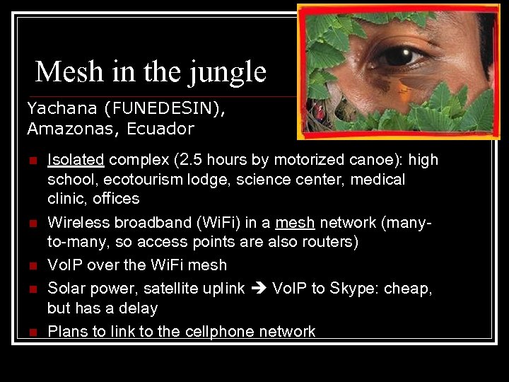 Mesh in the jungle Yachana (FUNEDESIN), Amazonas, Ecuador n n n Isolated complex (2.