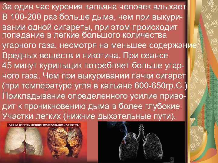 За один час курения кальяна человек вдыхает В 100 -200 раз больше дыма, чем