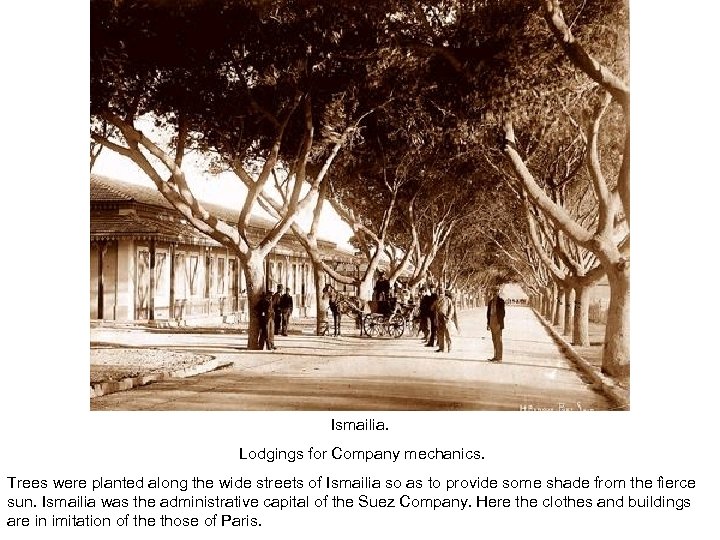 Ismailia. Lodgings for Company mechanics. Trees were planted along the wide streets of Ismailia