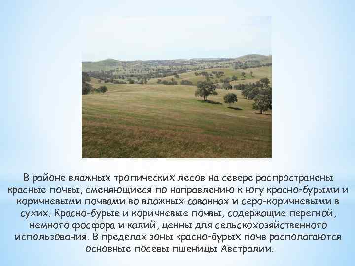 В районе влажных тропических лесов на севере распространены красные почвы, сменяющиеся по направлению к