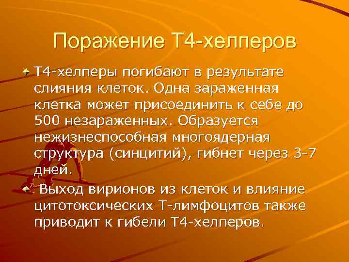 Поражение Т 4 -хелперов Т 4 -хелперы погибают в результате слияния клеток. Одна зараженная