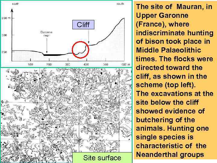 Cliff Site surface The site of Mauran, in Upper Garonne (France), where indiscriminate hunting
