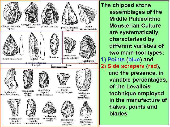 The chipped stone assemblages of the Middle Palaeolithic Mousterian Culture are systematically characterised by