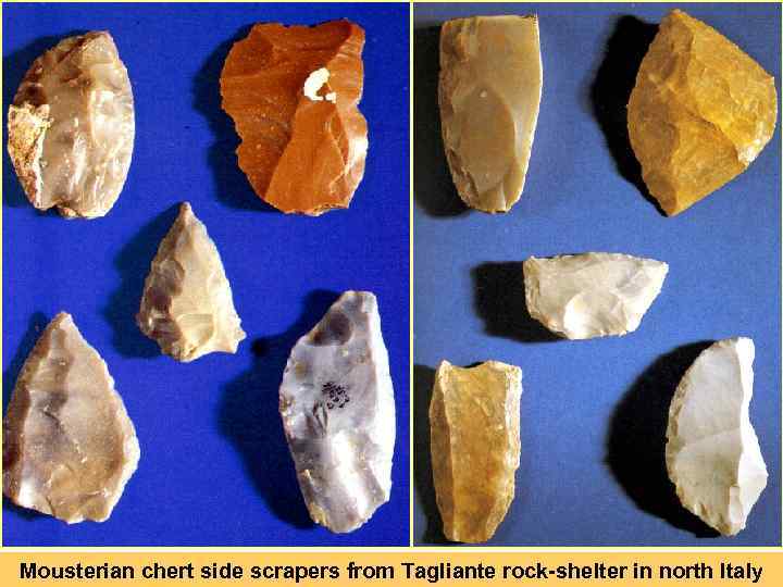 Mousterian chert side scrapers from Tagliante rock-shelter in north Italy 