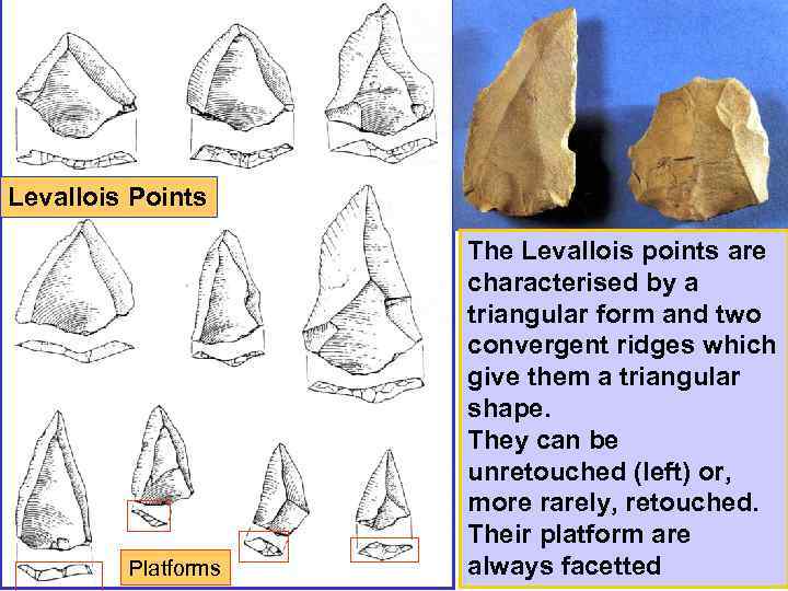 Levallois Points Platforms The Levallois points are characterised by a triangular form and two
