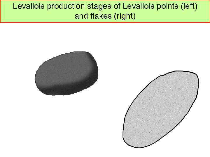 Levallois production stages of Levallois points (left) and flakes (right) 