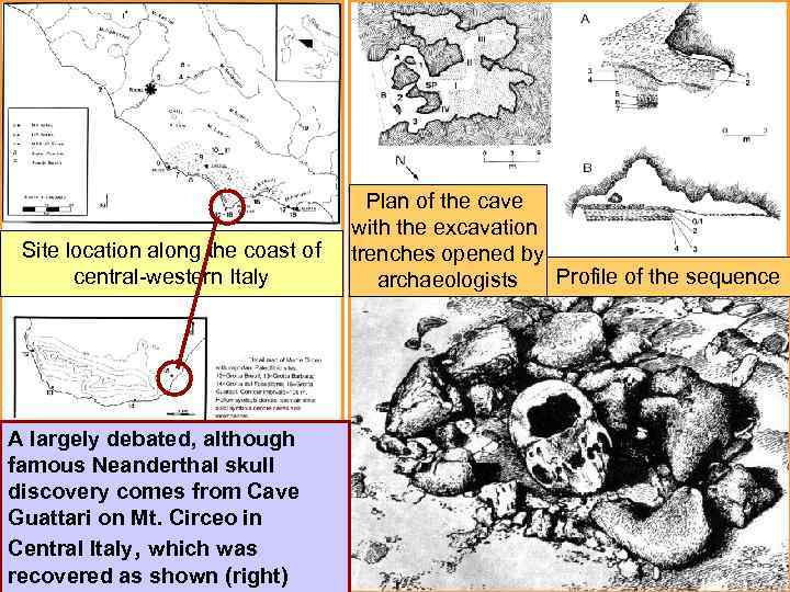Site location along the coast of central-western Italy A largely debated, although famous Neanderthal