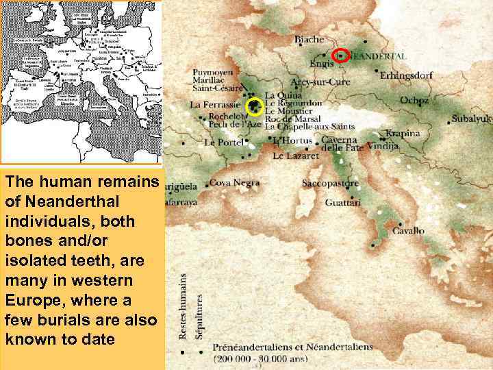 The human remains of Neanderthal individuals, both bones and/or isolated teeth, are many in