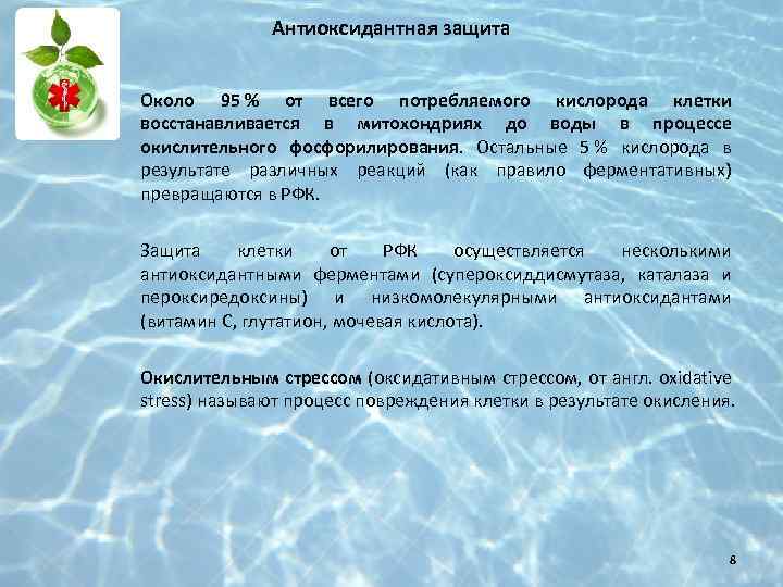 Антиоксидантная защита Около 95 % от всего потребляемого кислорода клетки восстанавливается в митохондриях до