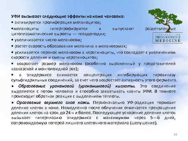  УФИ вызывает следующие эффекты на коже человека: • активируется пролиферация меланоцитов; • меланоциты