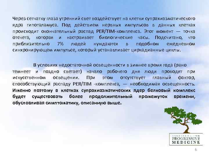  Через сетчатку глаза утренний свет воздействует на клетки супрахиазматического ядра гипоталамуса. Под действием