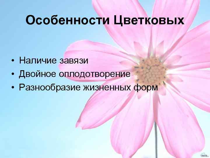 Особенности Цветковых • Наличие завязи • Двойное оплодотворение • Разнообразие жизненных форм 