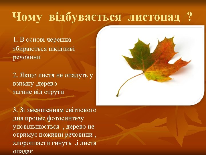 Чому відбувається листопад ? 1. В основі черешка збираються шкідливі речовини 2. Якщо листя