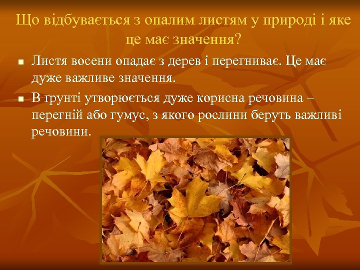 Що відбувається з опалим листям у природі і яке це має значення? n n