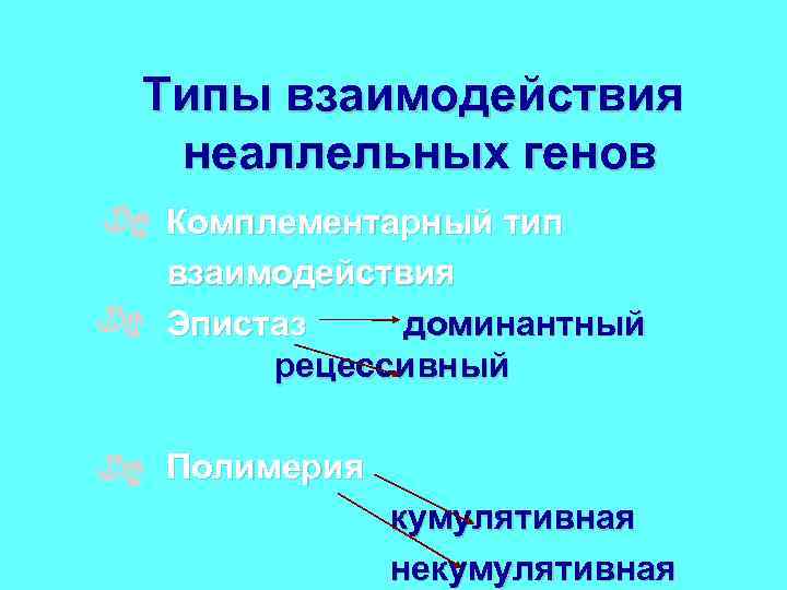 Типы взаимодействия неаллельных генов Комплементарный тип взаимодействия Эпистаз доминантный рецессивный Полимерия кумулятивная некумулятивная 