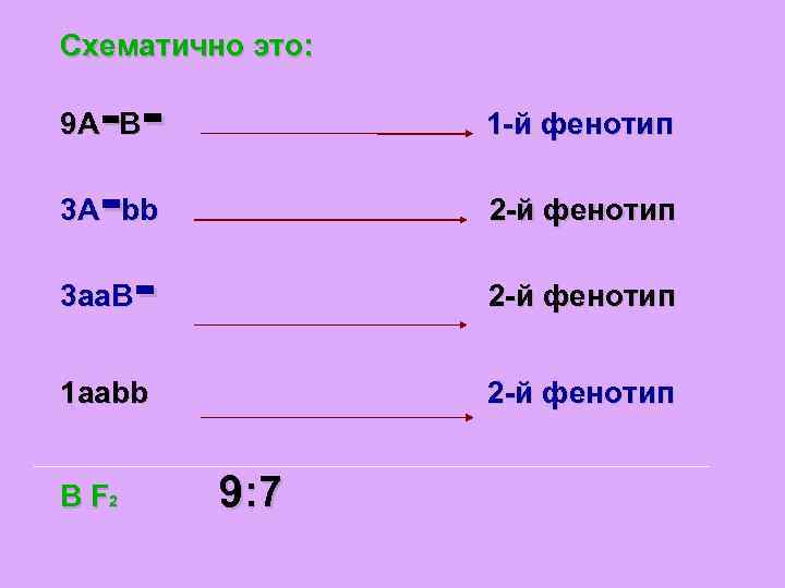 Схематично это: -- 1 -й фенотип 3 A bb - 2 -й фенотип 3