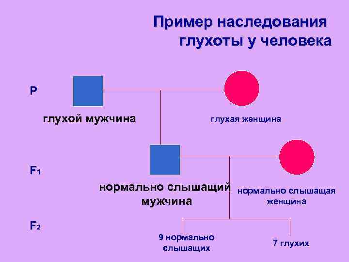 Типы наследования генов