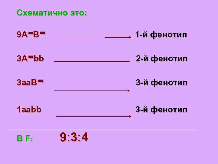 Схематично это: -- 1 -й фенотип 3 A bb - 2 -й фенотип 3