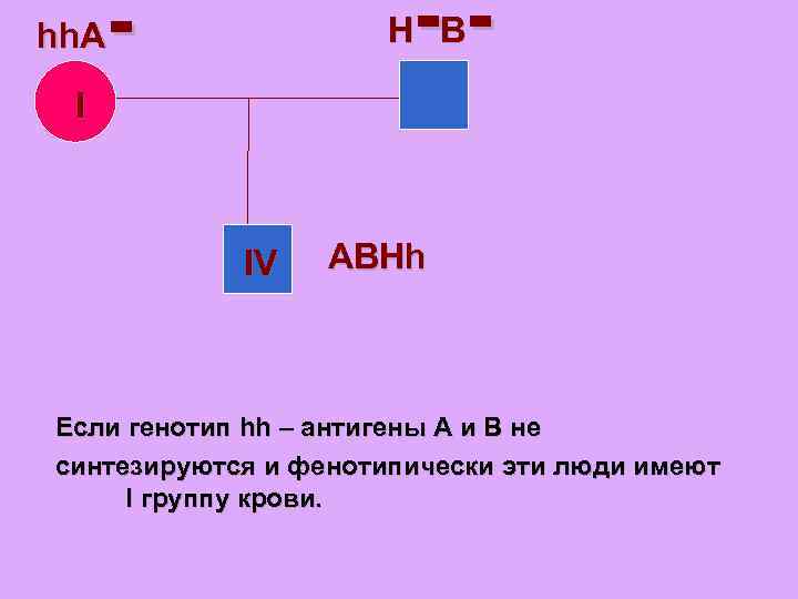 -- - H B hh. A I IV ABHh Если генотип hh – антигены