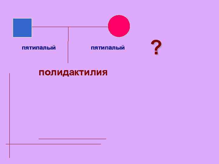 пятипалый полидактилия ? 