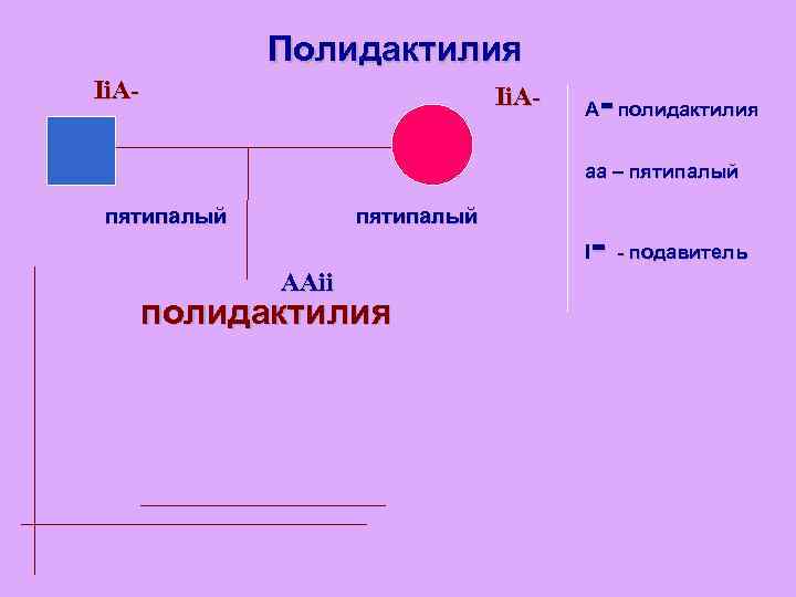 Полидактилия Ii. A- - A полидактилия aa – пятипалый - - подавитель I AAii