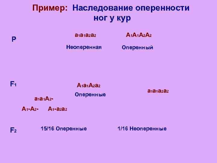 Пример: Наследование оперенности ног у кур a 1 a 1 a 2 a 2