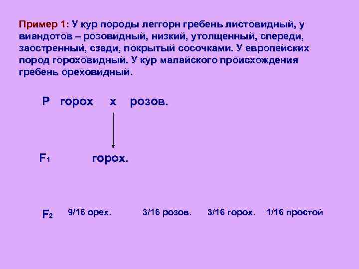 Пример 1: У кур породы леггорн гребень листовидный, у виандотов – розовидный, низкий, утолщенный,