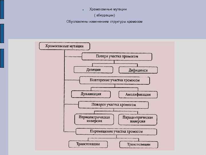  Хромосомные мутации ( аберрации) Обусловлены изменением структуры хромосом 