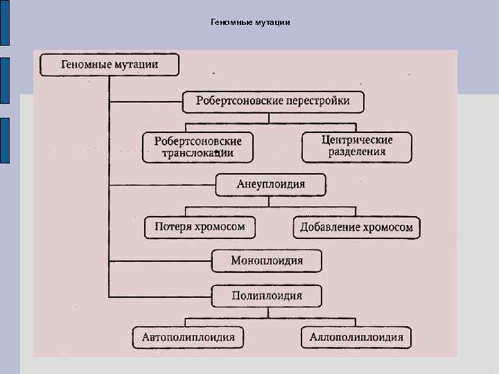 Геномные мутации 