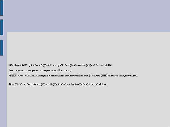 1)эндонуклеоза «узнает» поврежденный участок и рядом с ним разрывает нить ДНК; 2)экзонуклеоза «вырезает» поврежденный