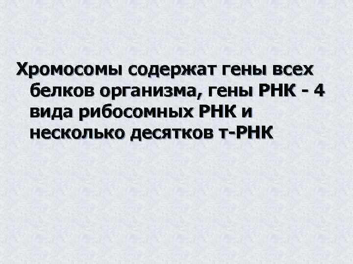 Хромосомы содержат гены всех белков организма, гены РНК - 4 вида рибосомных РНК и