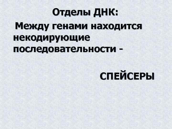 Отделы ДНК: Между генами находится некодирующие последовательности СПЕЙСЕРЫ 
