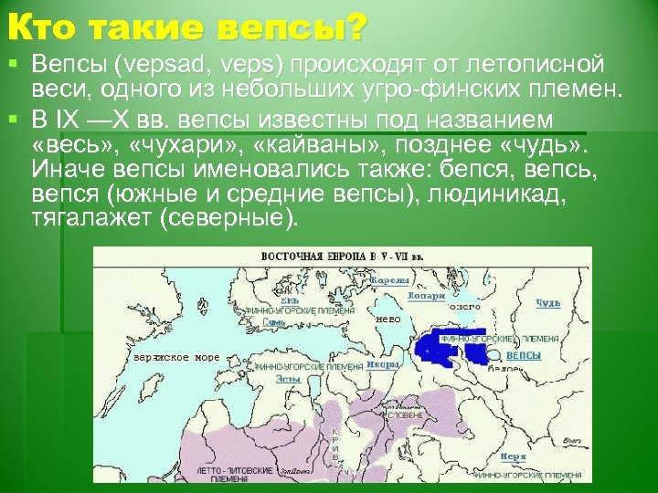 Презентация про вепсов