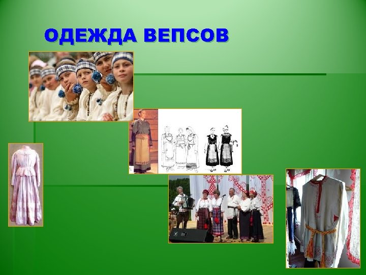 Презентация про вепсов