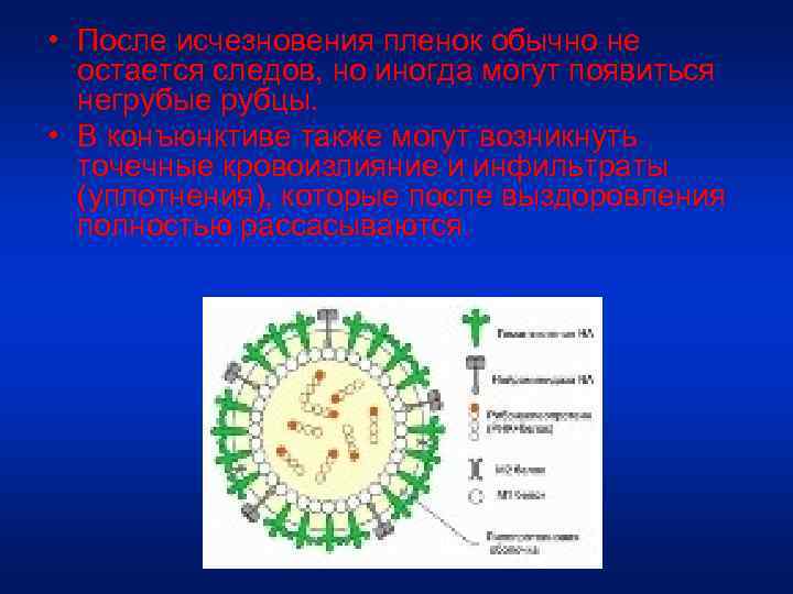  • После исчезновения пленок обычно не остается следов, но иногда могут появиться негрубые